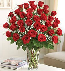 36 Premium Roses - You Choose Color  from Clermont Florist & Wine Shop, flower shop in Clermont